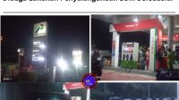 IMG-20250124-WA0003