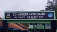 IMG-20250203-WA0010